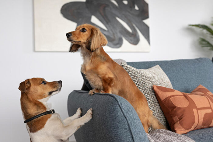 1 Bedroom Apartment To Rent In Dockside, Edinburgh, EH6