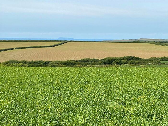 Land For Sale In Morwenstow, Bude, Cornwall, EX23