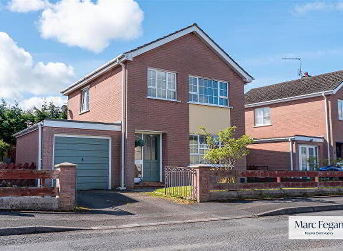 3 Bedroom Detached House For Sale In Lismara, Craigavon, BT65