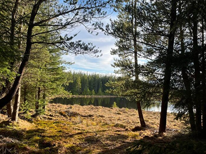 Land For Sale In Ghriama Wood, Lairg, Sutherland, IV27