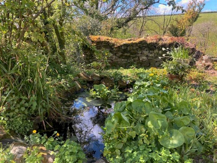 4 Bedroom Farm For Sale In Talog, Carmarthen SA33
