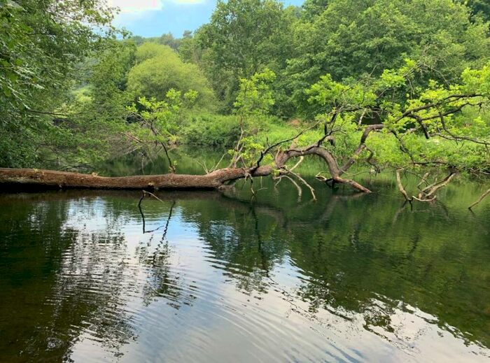 Land For Sale In Woodland And Lakes, At Dimmingsdale, Alton, Staffordshire, ST10