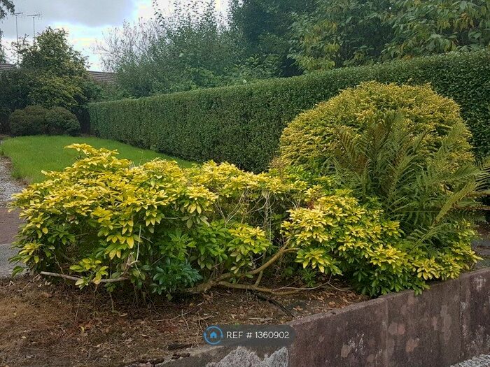 3 Bedroom Terraced House To Rent In Rochdale Road, Middleton, Manchester, M24