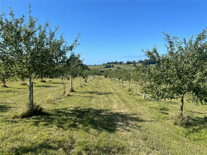 Land For Sale In Awliscombe, Honiton, Devon, EX14