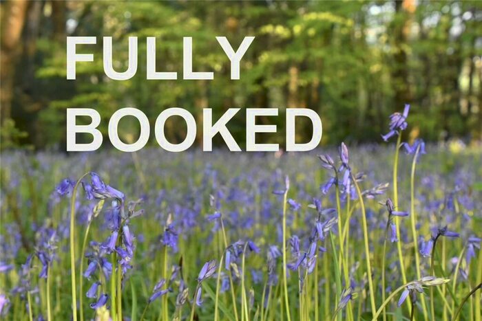 1 Bedroom Bungalow To Rent In Eliot Road, St Austell, PL25