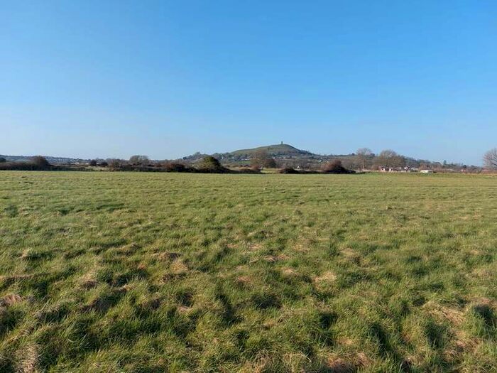 Commercial Farm Land For Sale In Watchwell Drove, Butleigh Wootton, BA6