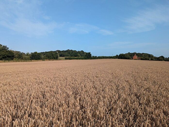 Land For Sale In Saxmundham, Suffolk, IP17