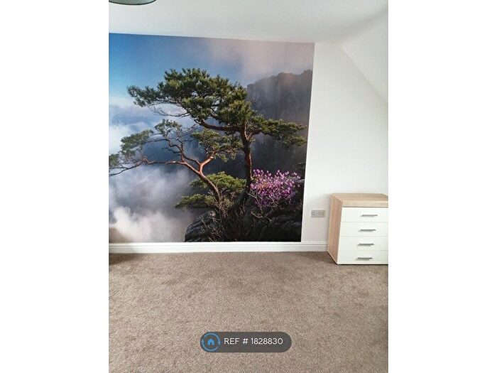 Studio To Rent In Geneva Lane, Darlington, DL1