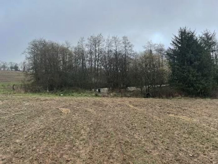 Land For Sale In Bishops Nympton, South Molton, EX36