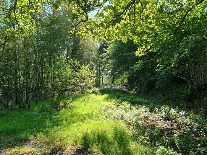 Land For Sale In Braddon Estate, Belle Wood, Ashwater, EX21