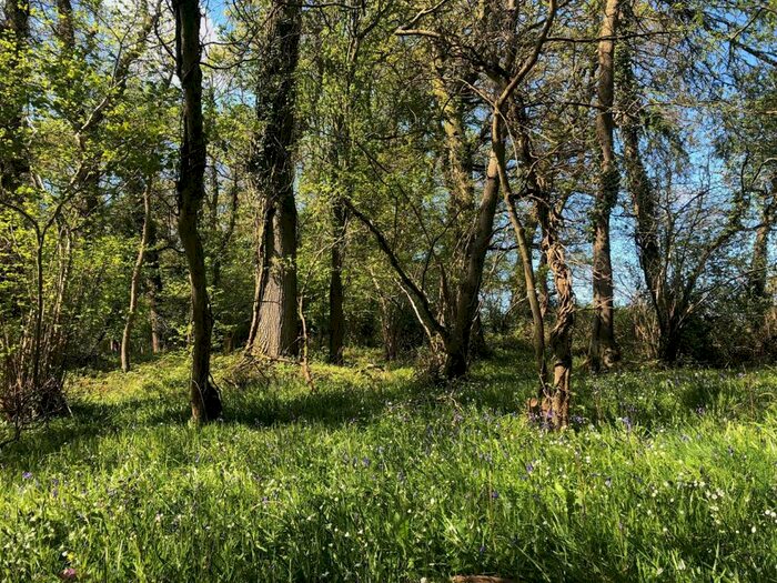 Farm Land For Sale In Ash Thomas, Tiverton, EX15