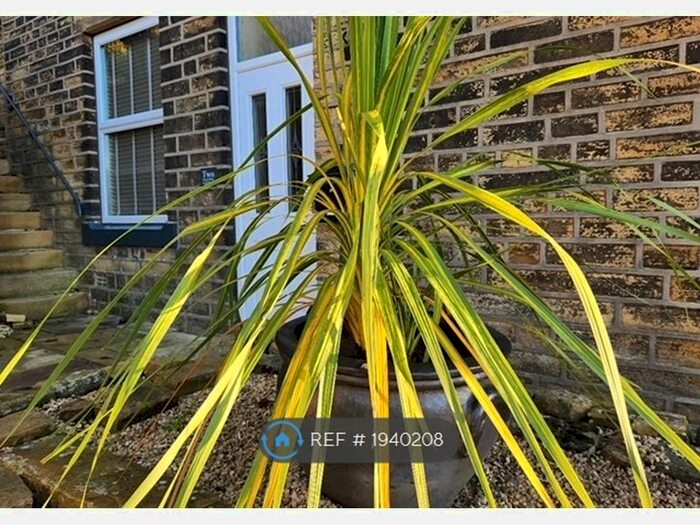 4 Bedroom Semi-Detached House To Rent In Victoria Place, Luddendenfoot, Halifax, HX2