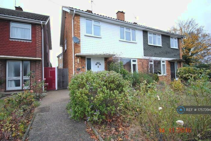 3 Bedroom Semi-Detached House To Rent In Church Lane, Springfield, Chelmsford, CM1