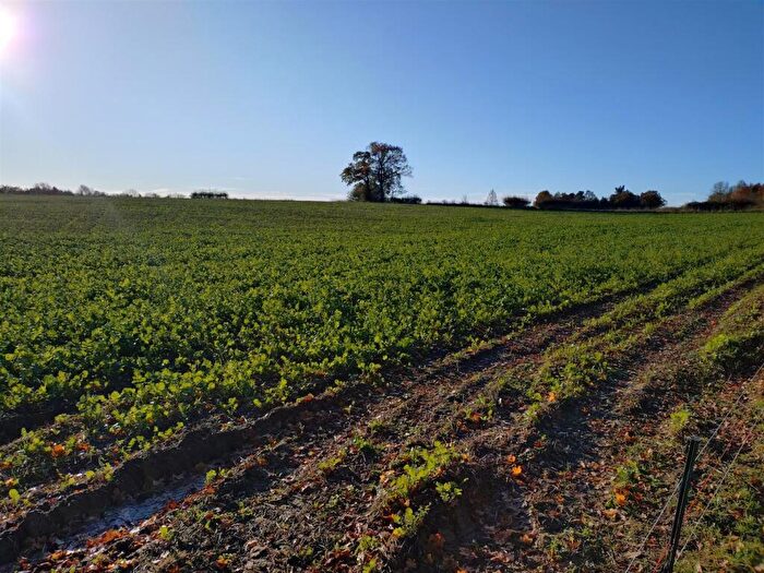 Land For Sale In .Ac (.Ha) Of Land At Mather Lane, Needham, IP20