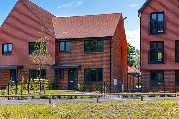 3 Bedroom Semi Detached House To Rent In Leaf Living At Allium Park, Guildford, Send Marsh, GU23