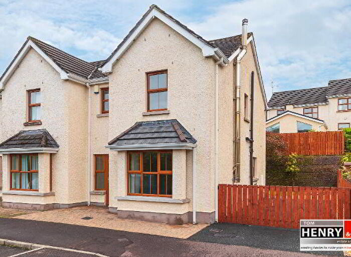 3 Bedroom End TownHouse For Sale In Torrent View, Dungannon, BT70
