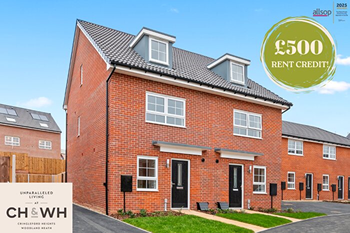 3 Bedroom Semi-Detached House To Rent In Banfather Way, Norwich, Norfolk, NR13