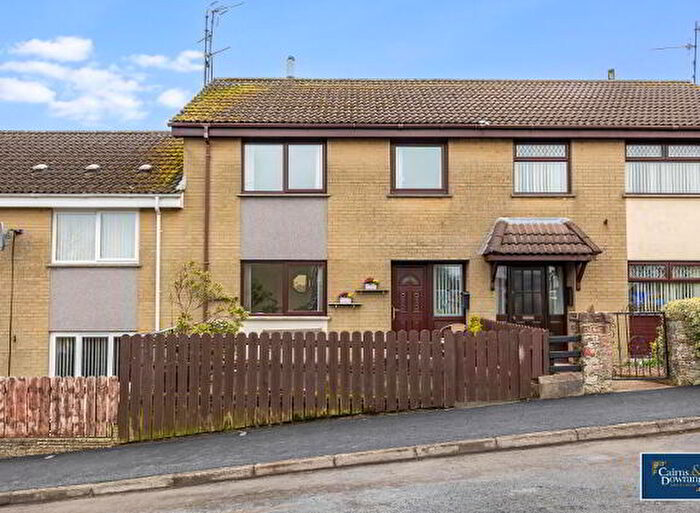 4 Bedroom Mid Terraced House For Sale In Beech Grove, Dromore, BT25