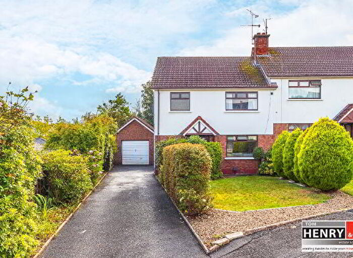 3 Bedroom Semi-Detached House For Sale In Aloha View, Dungannon, BT71