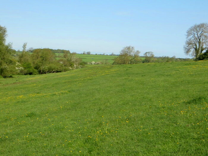 Farm Land For Sale In Grassland - Waltham On The Wolds, LE14