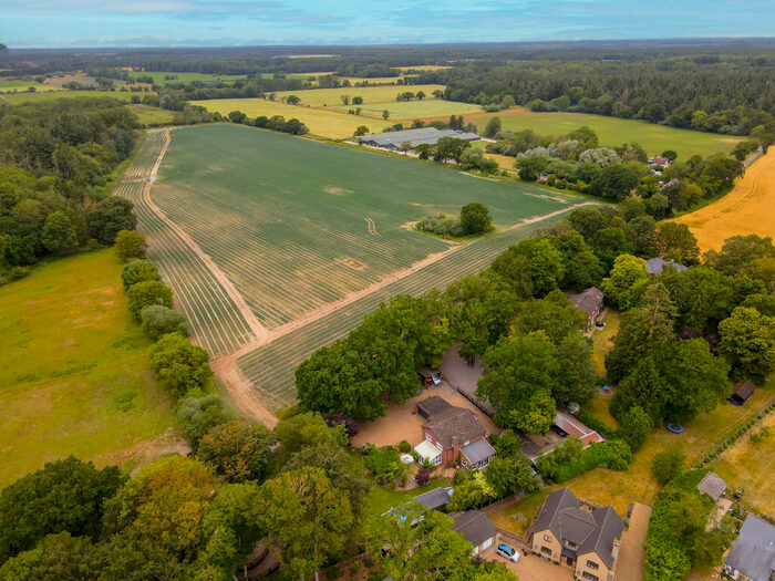 4 Bedroom Detached House For Sale In Wretham, Thetford, IP24