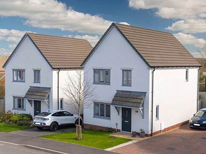 3 Bedroom Detached House For Sale In Plot, Snowdon Grange, Chard, Somerset, TA20