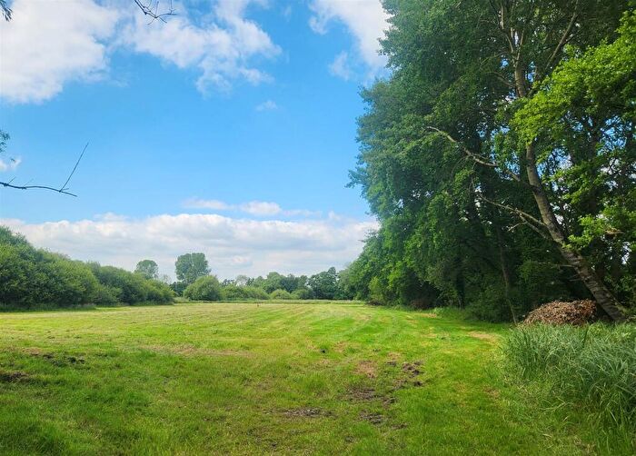 Land For Sale In Land North Of Stockbridge, SO20