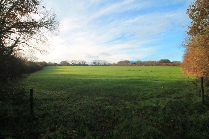 Farm Land For Sale In Near St Pinnock, PL14