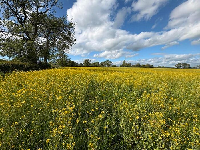 Farm Land For Sale In Land At Copmere End - Lot Two, ST21