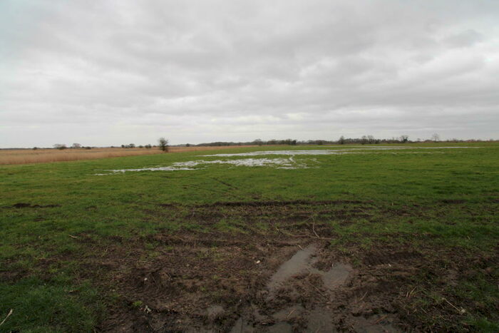 Land For Sale In Land At The End Of Marsh Farm, Main Road, Billockby, Fleggburgh, Norfolk, NR13