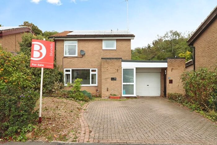 4 Bedroom Detached House For Sale In Waterthorpe Rise, Sheffield, South Yorkshire, S20