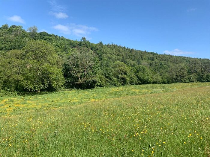 Land For Sale In Rhydargaeau Road, Rhydargaeau, Carmarthen, SA32