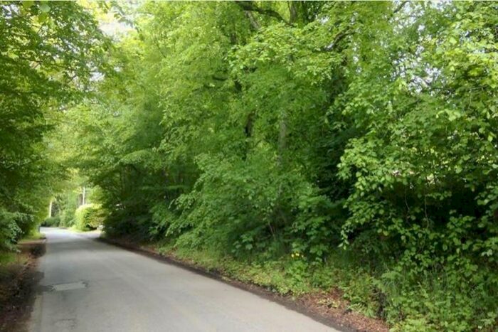 Land For Sale In , Woodland Investment, Medwyn Drive/Medwyn Road, West Linton, Scottish Borders, EH46