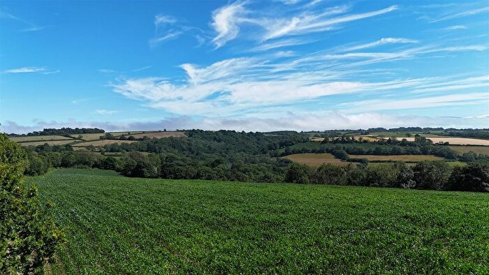 Land For Sale In Land At Bullmoor Cross, Musbury, Axminster, EX13