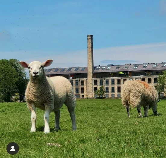 2 Bedroom Flat To Rent In Horace Mill, Cononley, BD20