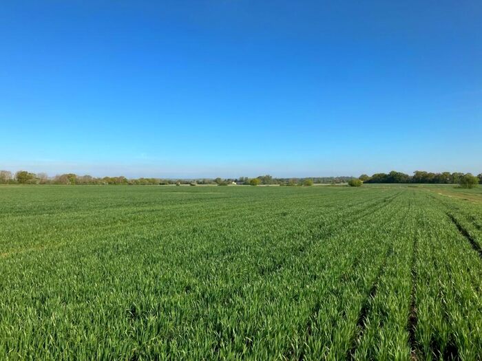 Farm Land For Sale In Norton Heath, Ingatestone, Essex, CM4