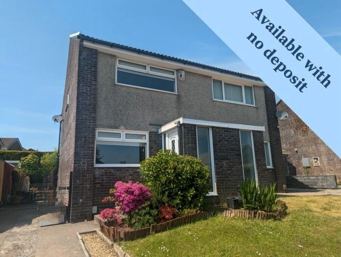 2 Bedroom Semi-Detached House To Rent In Rhodfa&#;R Dryw, Cwmrhydyceirw, SA6