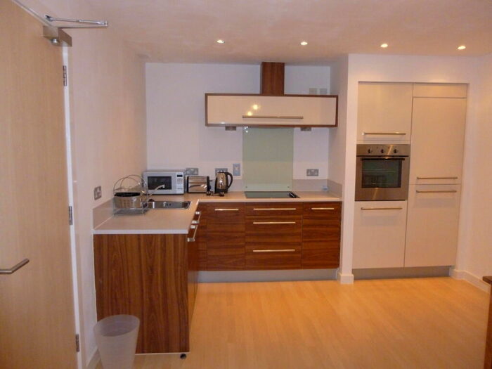 1 Bedroom Apartment To Rent In Placido, B16