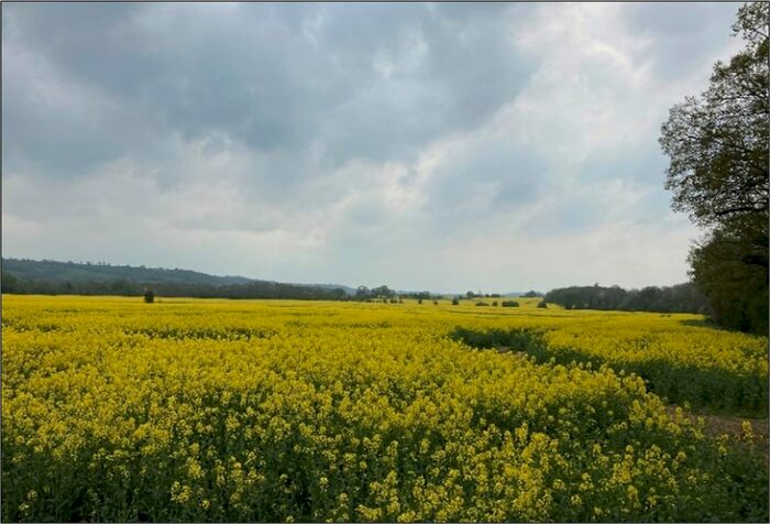 Land For Sale In Bishops Frome, Worcester, WR6