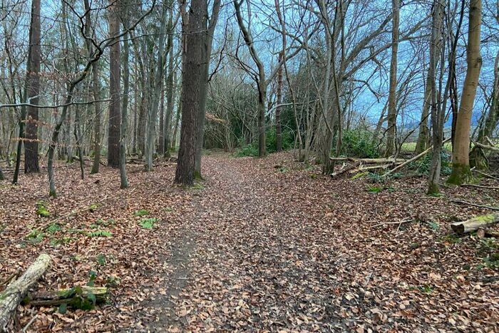 Land For Sale In Dial Green, Lurgashall, GU28