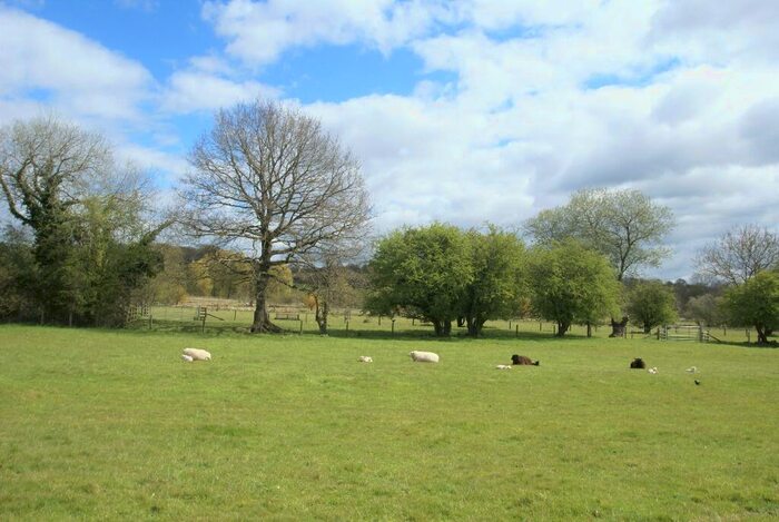 3 Bedroom Cottage To Rent In Westover Farm, Goodworth Clatford, SP11