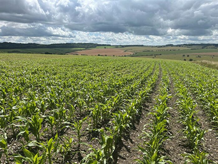 Land For Sale In Hindon, Salisbury, SP3