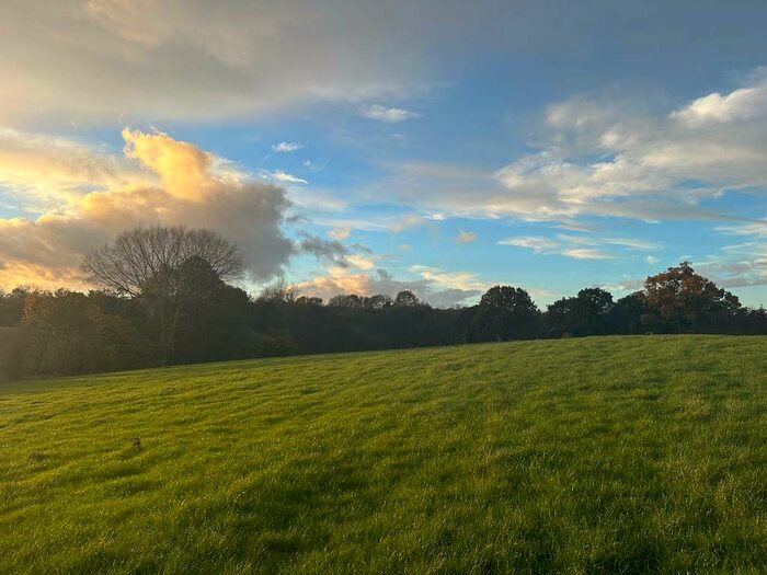 Land For Sale In Lot Woodland At Stryt Yr Hwch, LL13