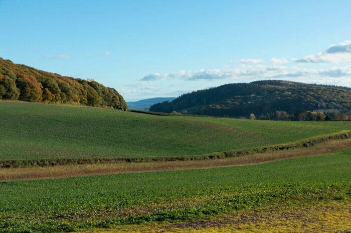 Land For Sale In Brinsop, Hereford, Herefordshire, HR4