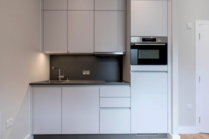 1 Bedroom Flat To Rent In Arodene Road, London, SW2