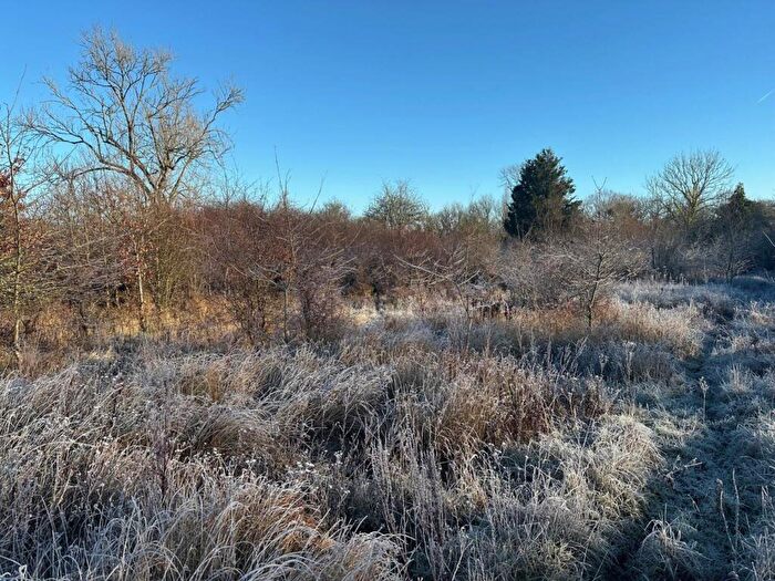 Land For Sale In Lot Awbridge, Nr Romsey, SO51