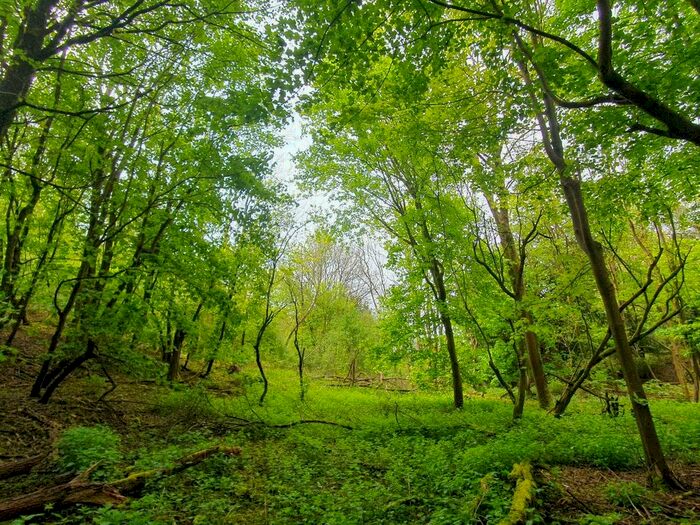 Land For Sale In Marsh Court Road, Stockbridge, SO20