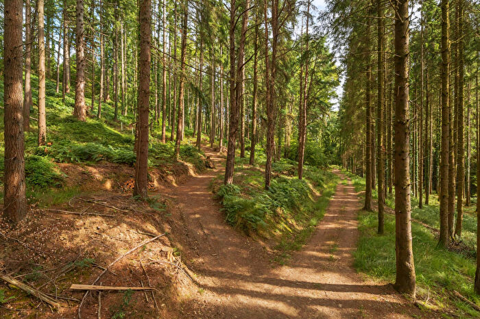 Land For Sale In Stoodleigh, Tiverton, Devon, EX16