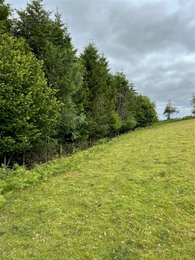 Land For Sale In Tyn Y Pant, Llanfair Caereinion, Welshpool, Powys, SY21