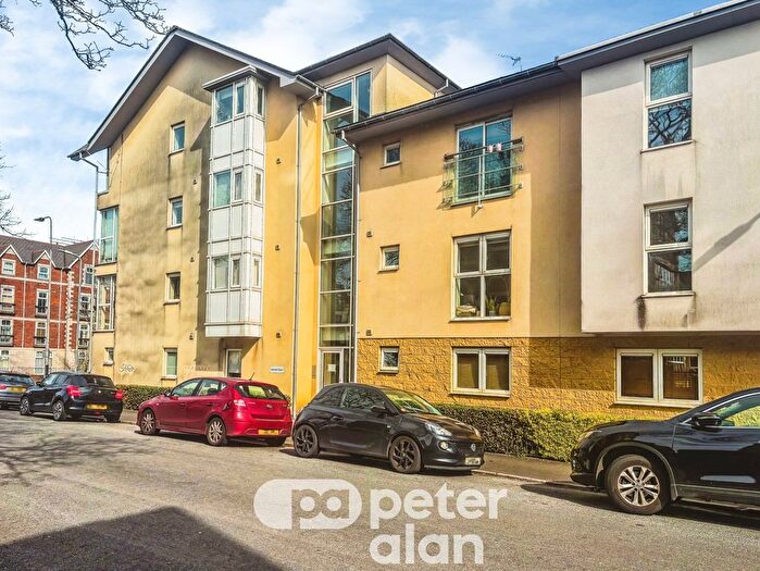 Studio To Rent In Newport Road, Cardiff, CF24